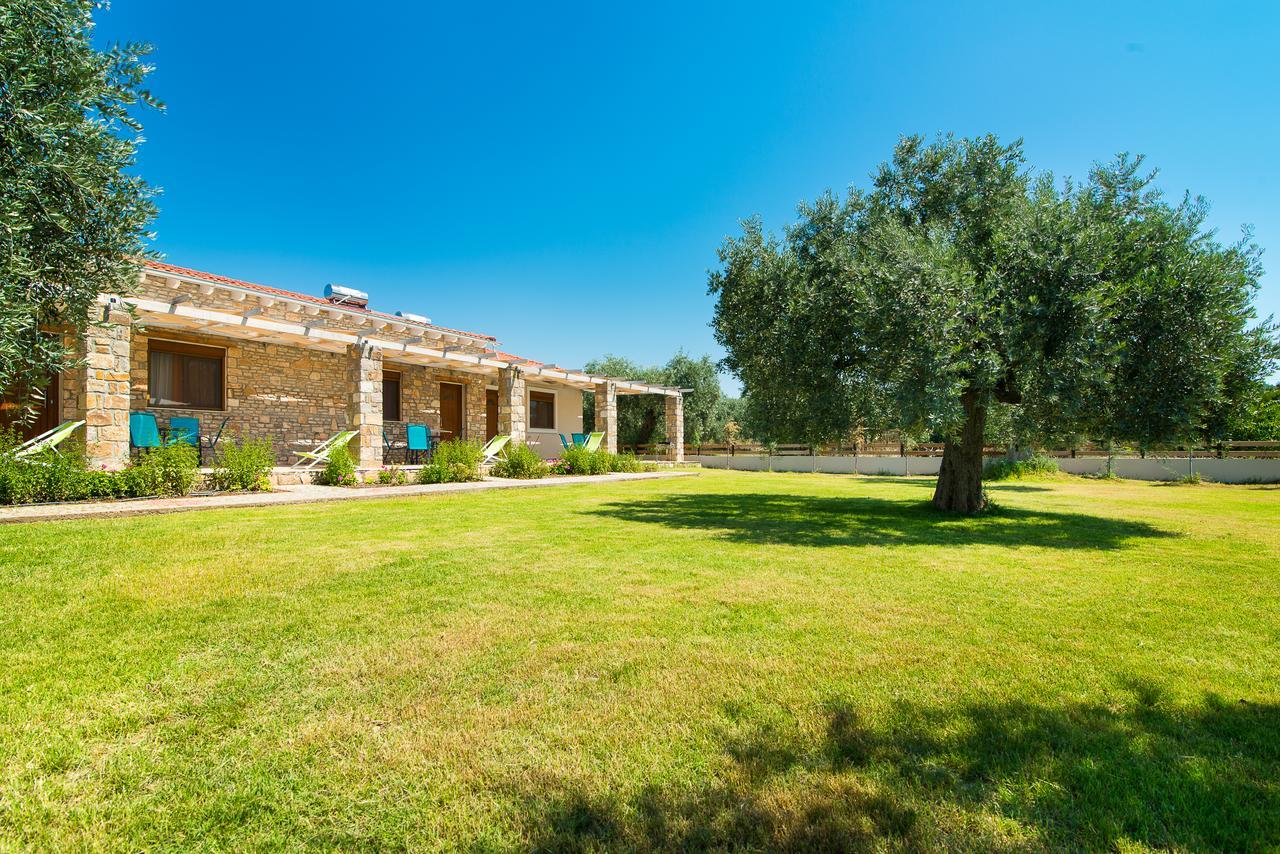 Olive Land Villas Limenaria  Extérieur photo
