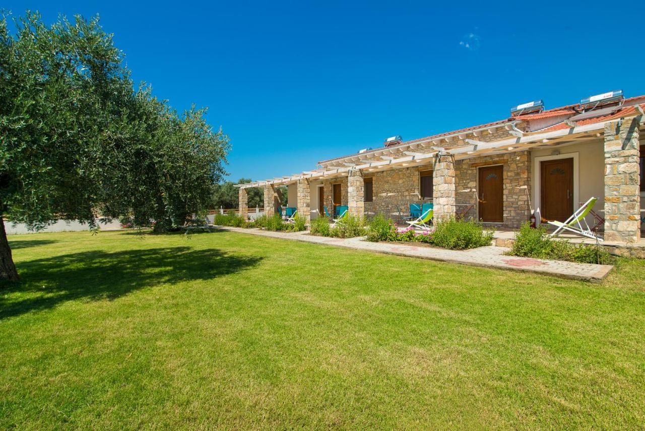 Olive Land Villas Limenaria  Extérieur photo